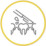 Oral and dental surgeries vectors